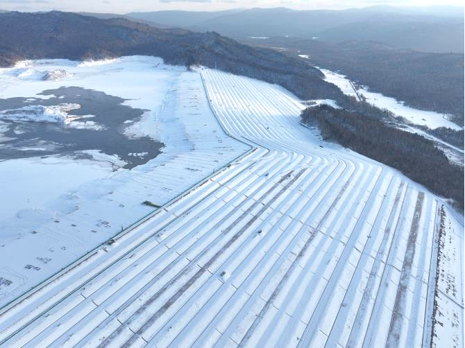 图片10.png 图片10.png